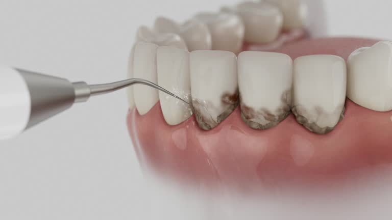 Reliable Dental contractor in Louisburg, NC by Dentist Open Now